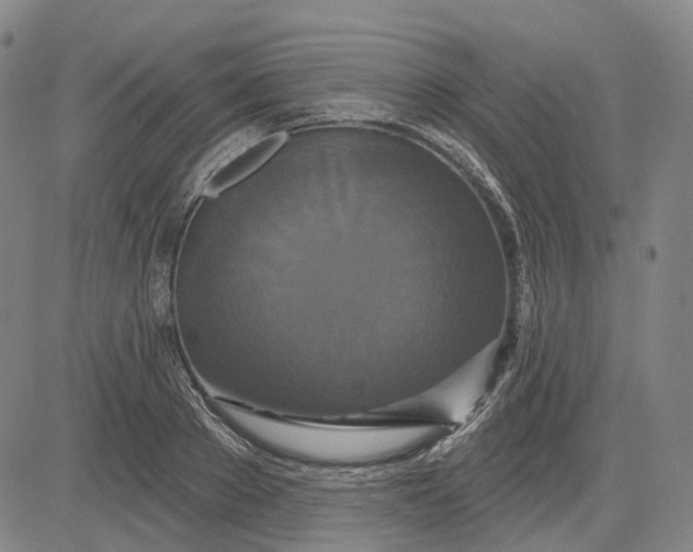 X0000083050889200702161729