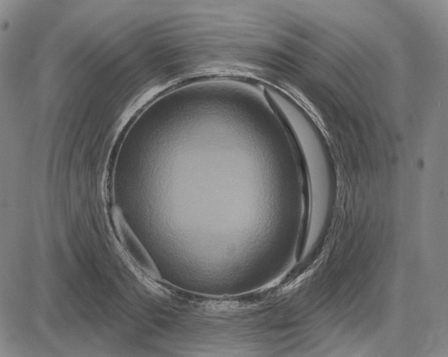 X0000083050893200702161728