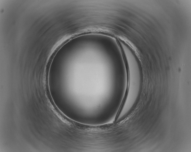X0000083050894200702161728