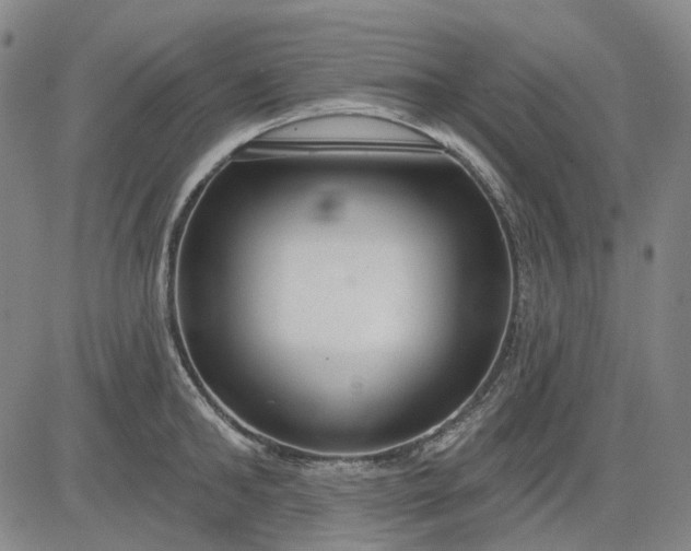 X0000083050902200702161728