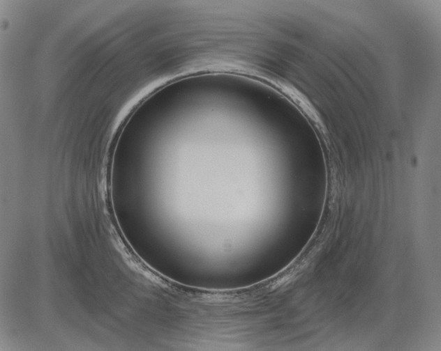 X0000083050904200702161728
