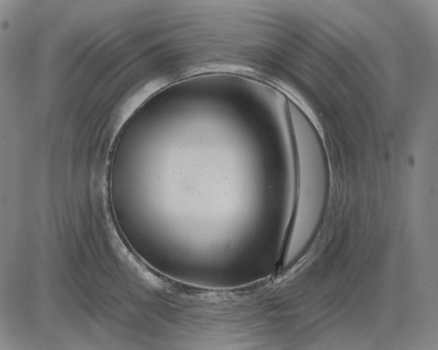 X0000083050906200702161728