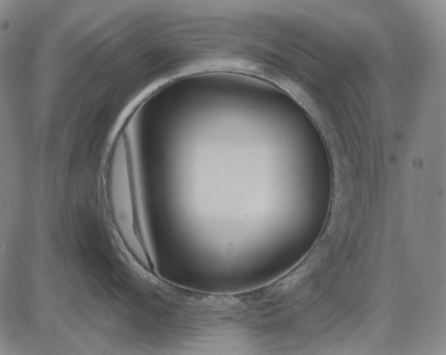 X0000083050912200702161728