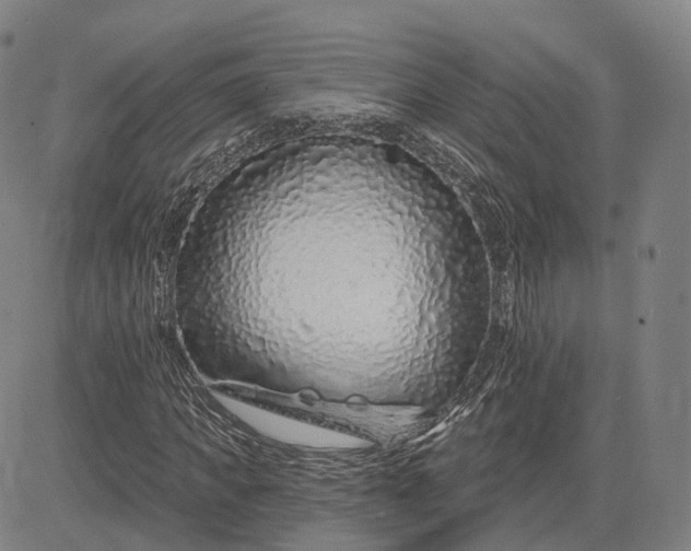 X0000083050917200702161727
