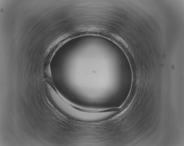 X0000083050922200702161728