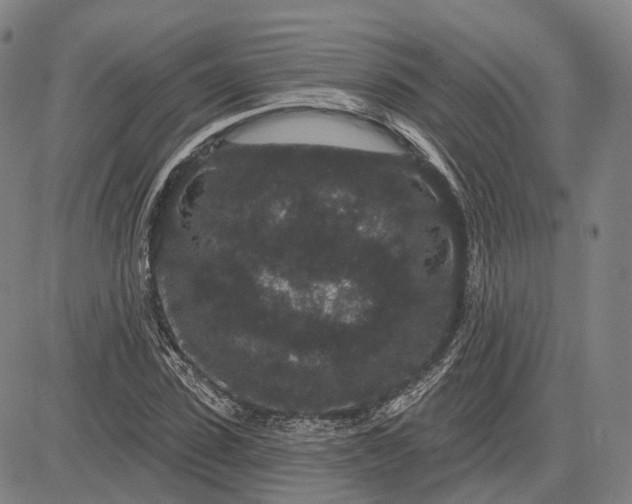 X0000083050923200702161728