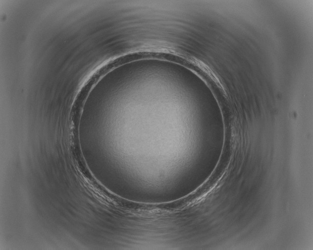 X0000083050926200702161728