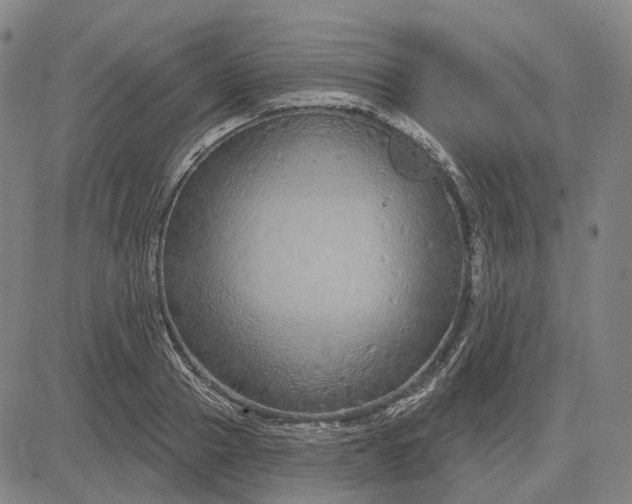 X0000083050937200702161728