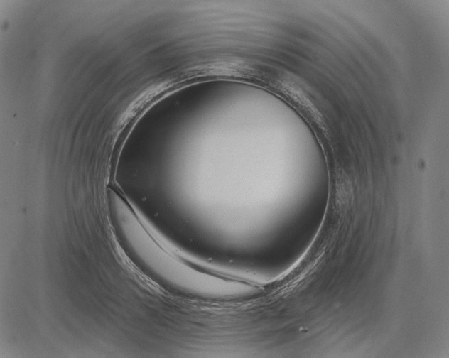 X0000083050938200702161728