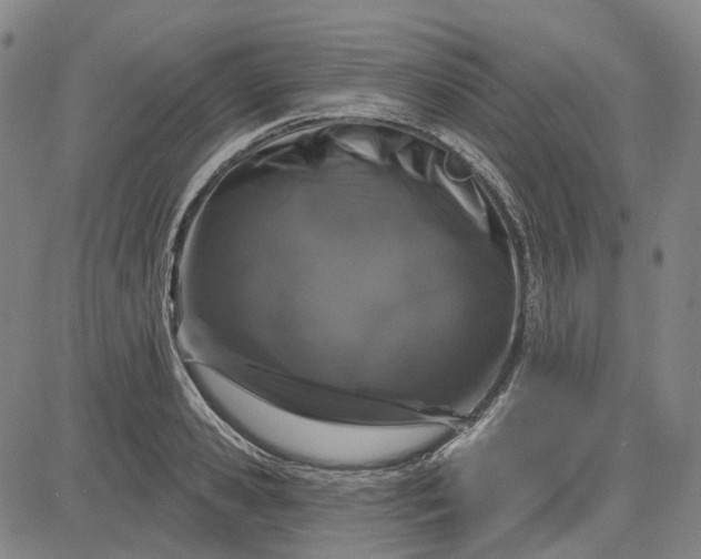 X0000083050941200702161728
