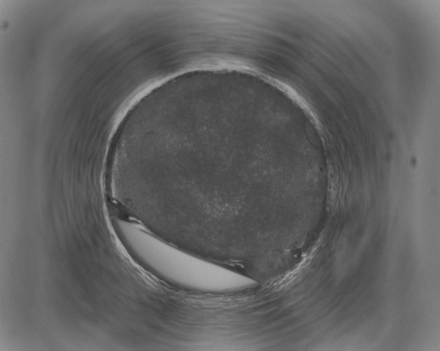 X0000083050943200702161728