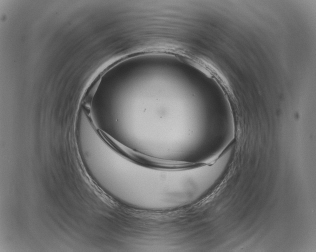 X0000083050948200702161728