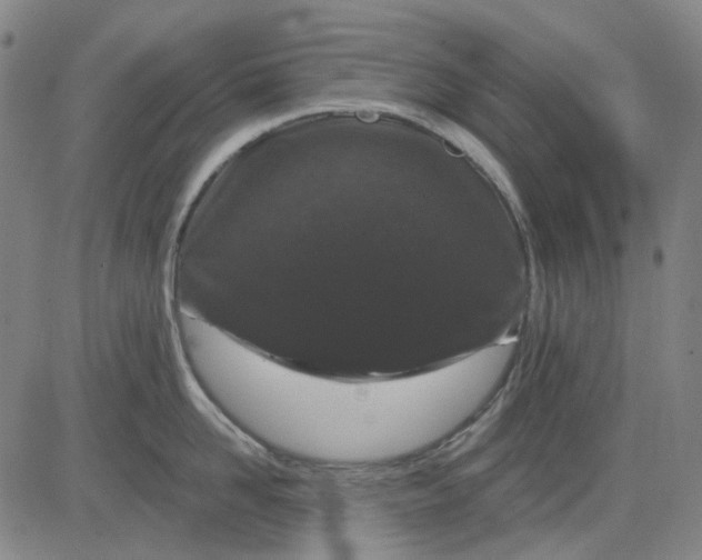 X0000083050958200702161728