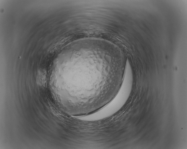 X0000083050963200702161727