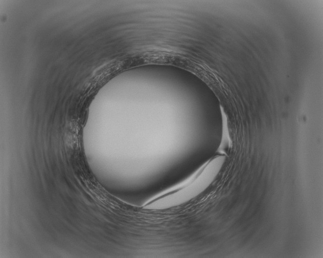 X0000083050964200702161727