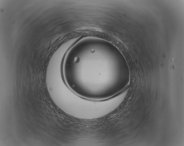X0000083050965200702161727
