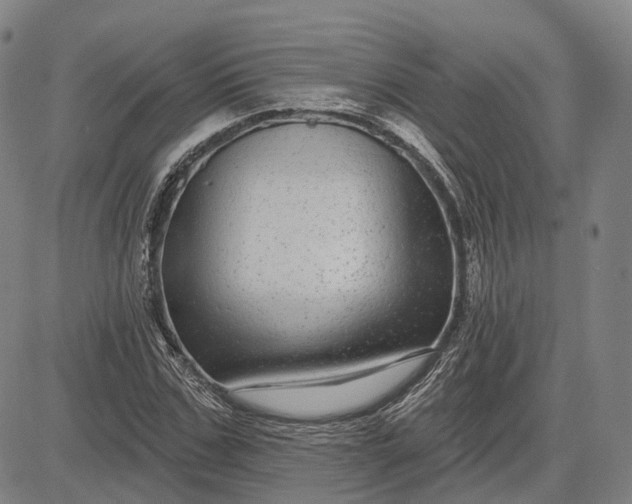 X0000083050971200702161727