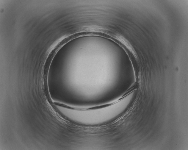 X0000083050972200702161727