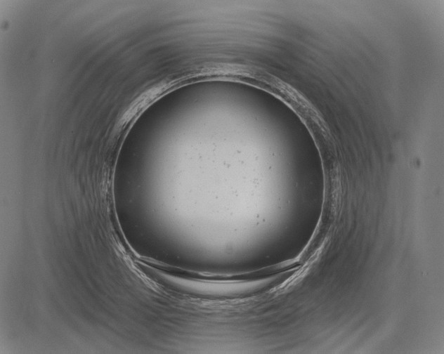 X0000083050985200702161727