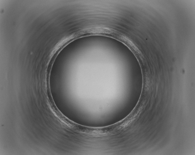 X0000083050986200702161727