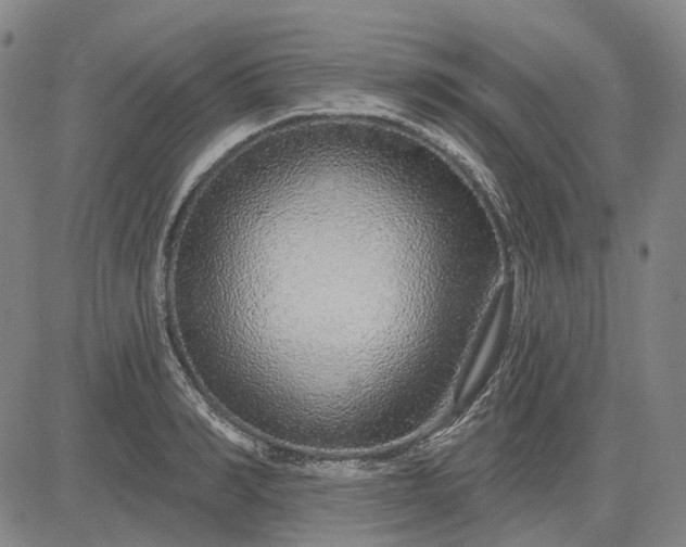 X0000083050990200702161727