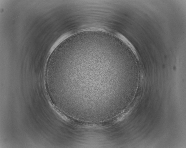 X0000083051002200702161727