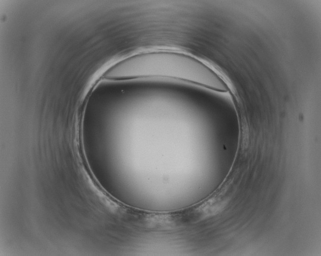 X0000083051006200702161727