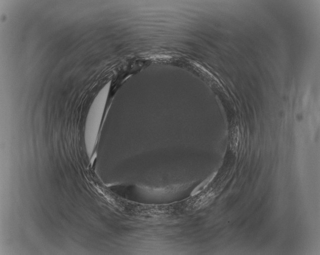 X0000083051010200702161726