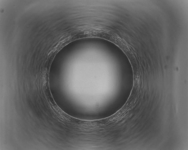 X0000083051012200702161726