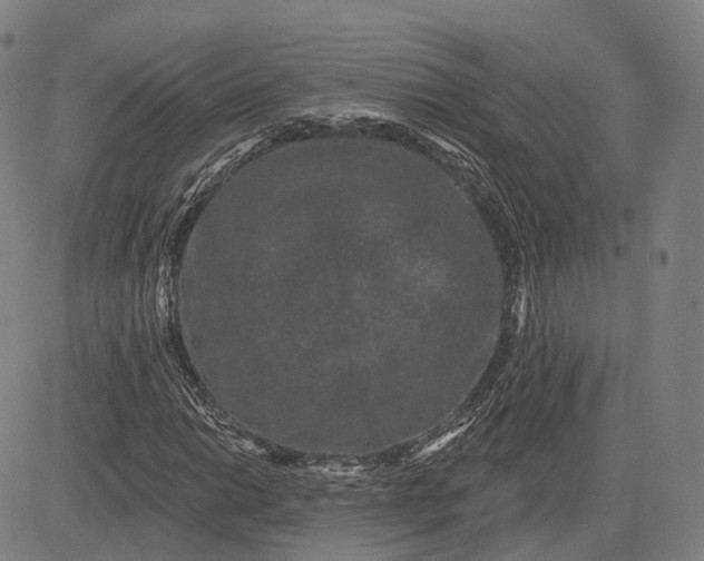 X0000083051014200702161726