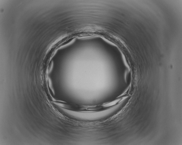 X0000083051018200702161726