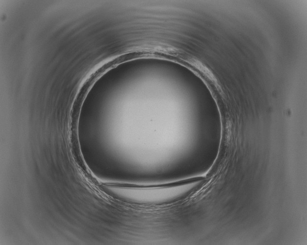 X0000083051020200702161726