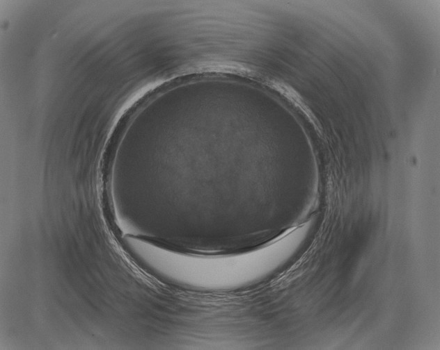 X0000083051024200702161726