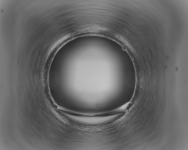 X0000083051026200702161726