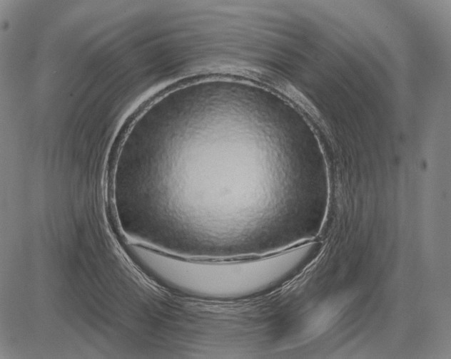 X0000083051028200702161726