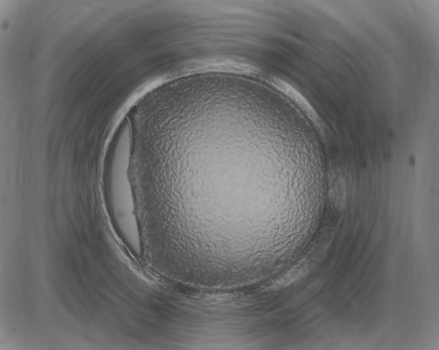 X0000083051043200702161726