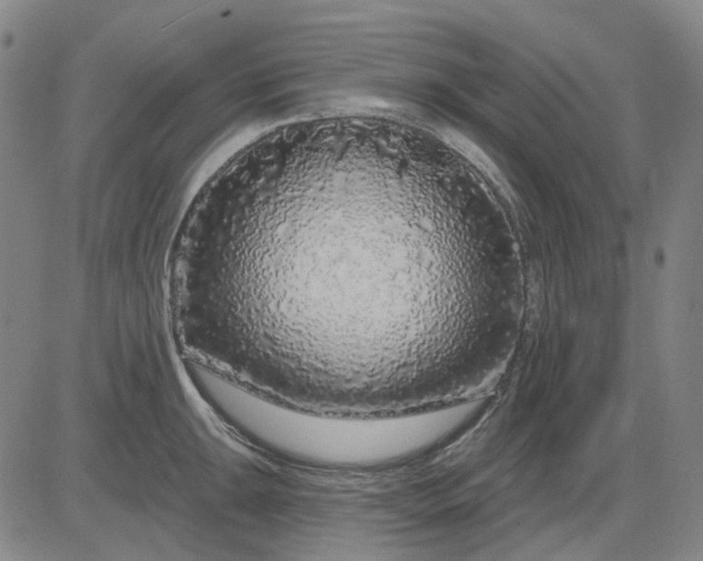 X0000083051047200702161726