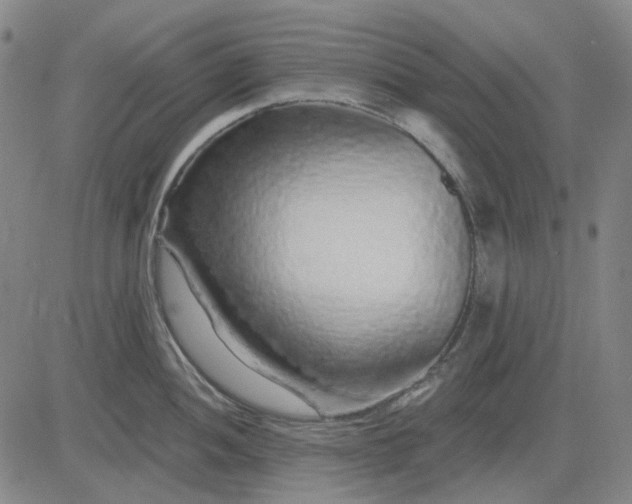 X0000083051052200702161727