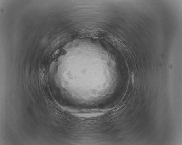 X0000083051059200702161726