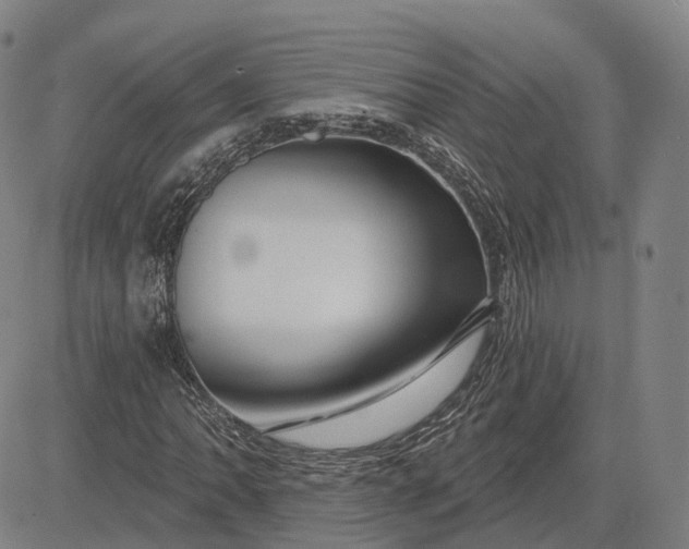 X0000083051062200702161726