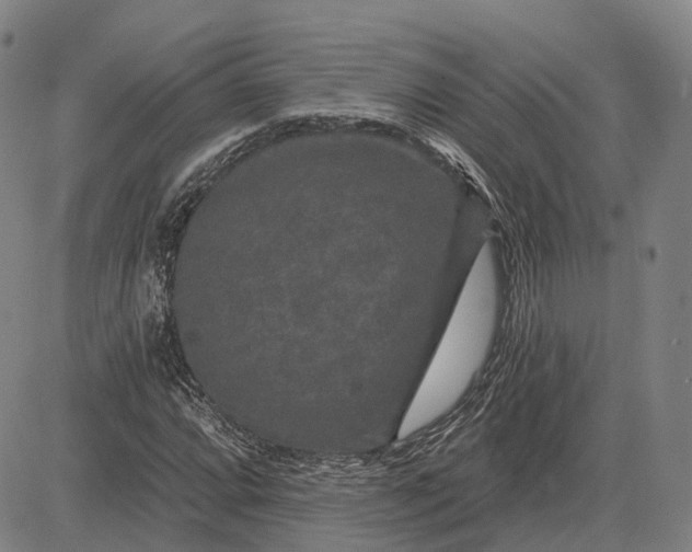 X0000083051064200702161726
