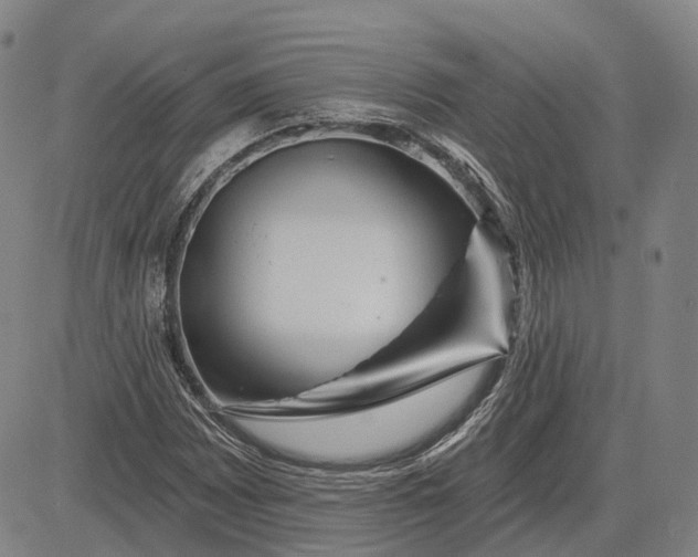 X0000083051065200702161726