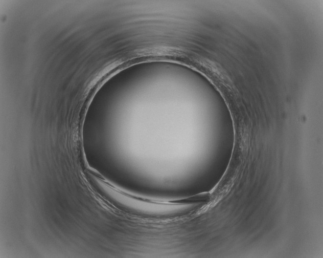 X0000083051073200702161726