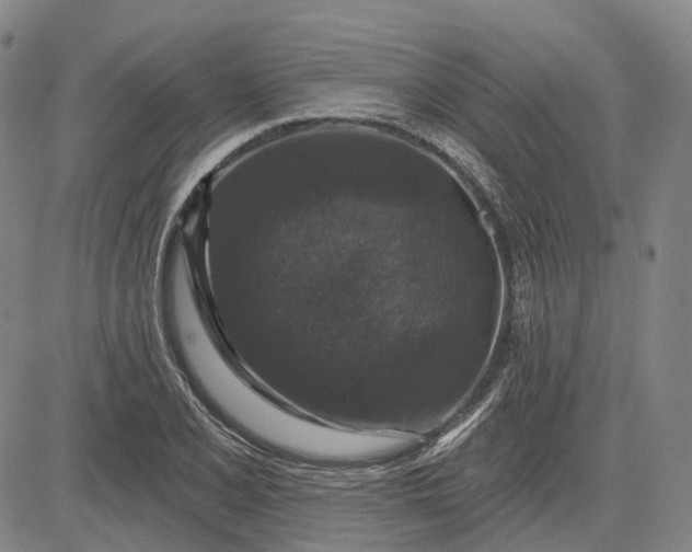 X0000083051077200702161725