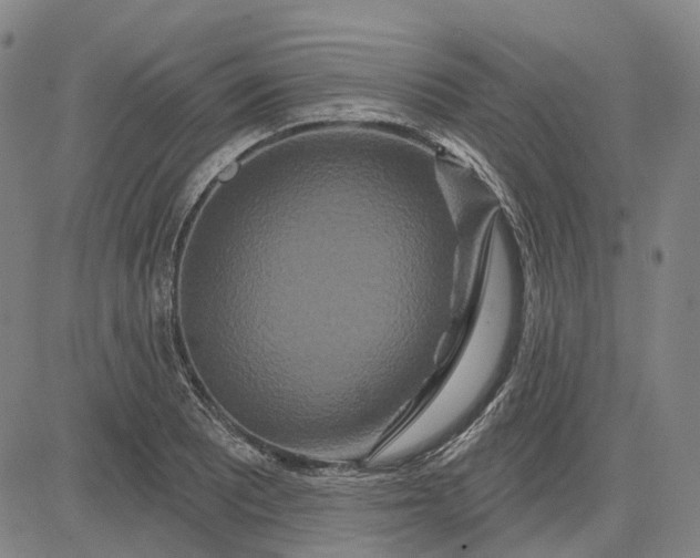 X0000083051081200702161725