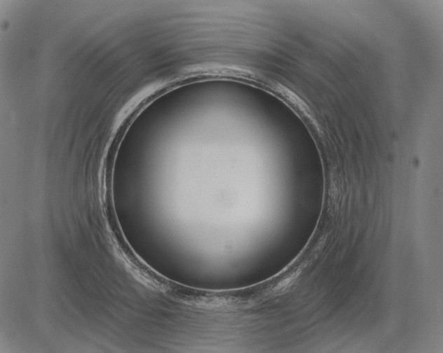 X0000083051082200702161725