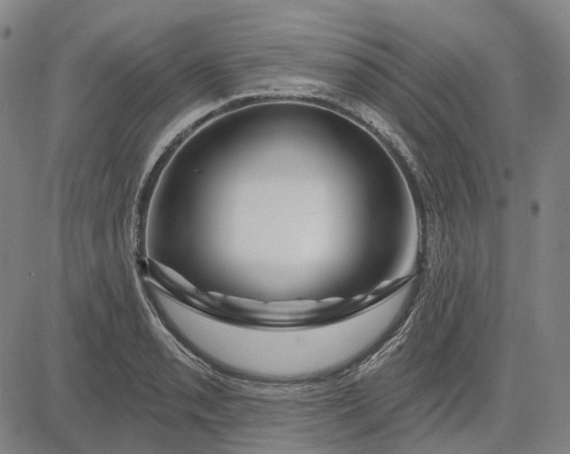 X0000083051085200702161725