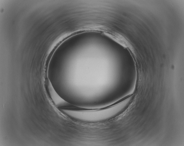 X0000083051093200702161725