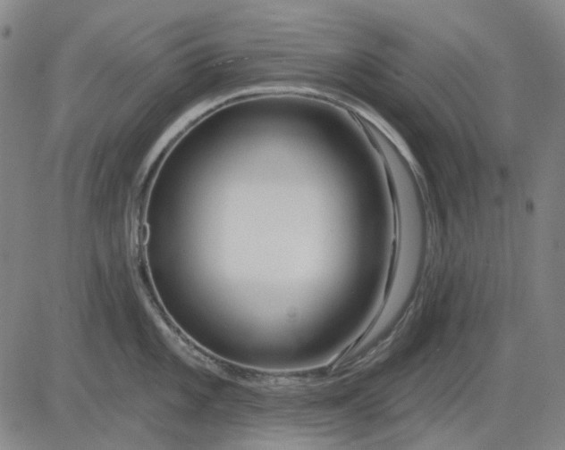 X0000083051101200702161725