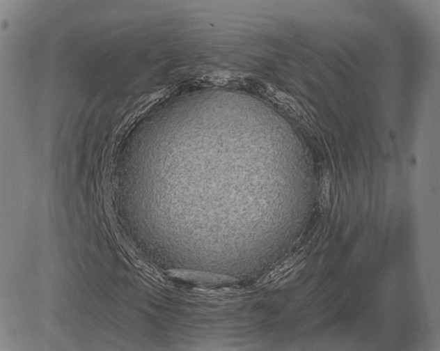 X0000083051105200702161724